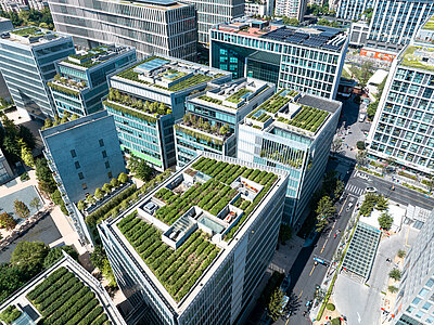 Aufsicht auf begrünte Dächer